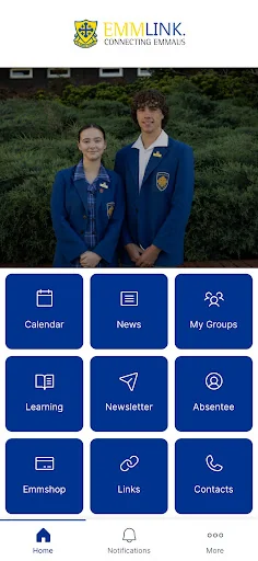 Emmlink