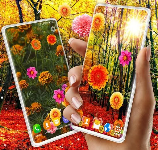 Autumn Flowers Live Wallpaper