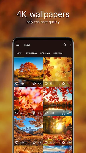 Autumn Wallpapers 4K screenshot 2