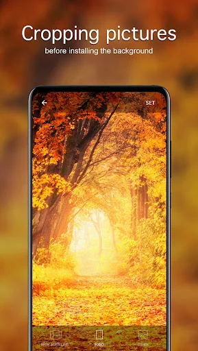 Autumn Wallpapers 4K screenshot 4