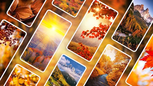 Autumn Wallpapers PRO