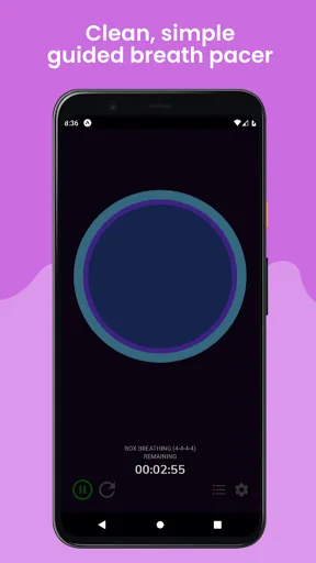 Awesome Breathing: Pacer Timer