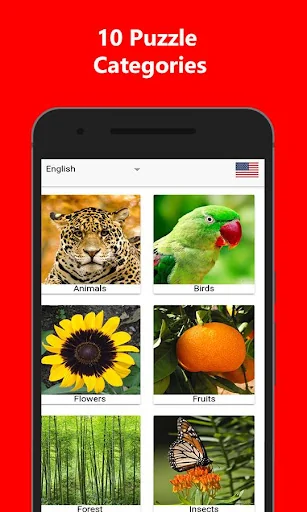 Puzzle Game: Match & Solve screenshot 1