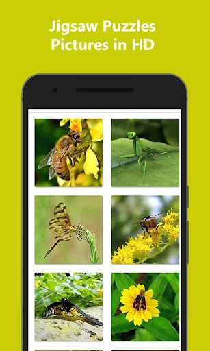 Puzzle Game: Match & Solve screenshot 3