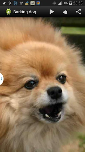 Barking Dog Sounds screenshot 1