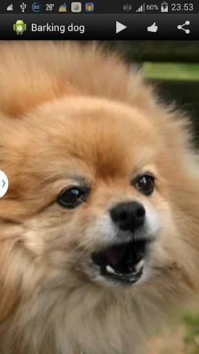 Barking Dog Sounds screenshot 1