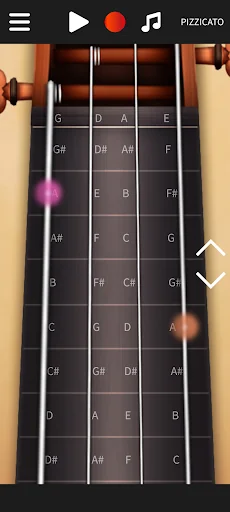Real Violin Solo