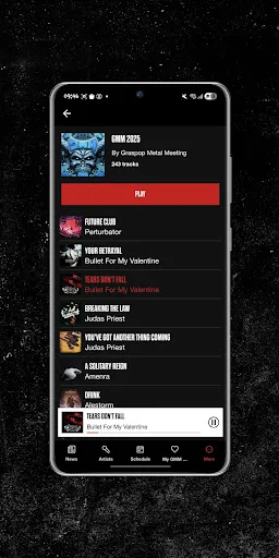 Graspop Metal Meeting screenshot 3