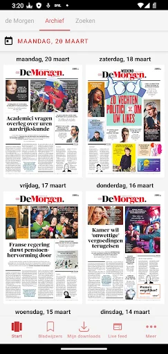 De Morgen Print Editie screenshot 2