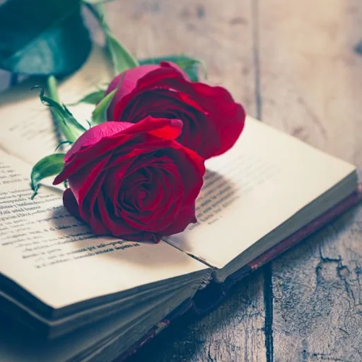 Beautiful Flowers & Roses Pics screenshot 1