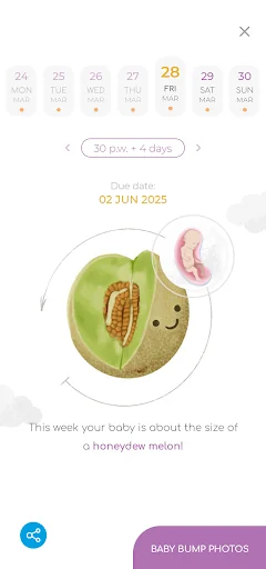 GAIA Pregnancy screenshot 2