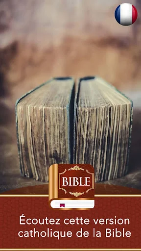 Bible catholique romaine