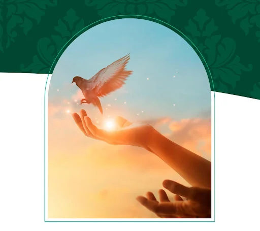 Bible Catholique screenshot 3