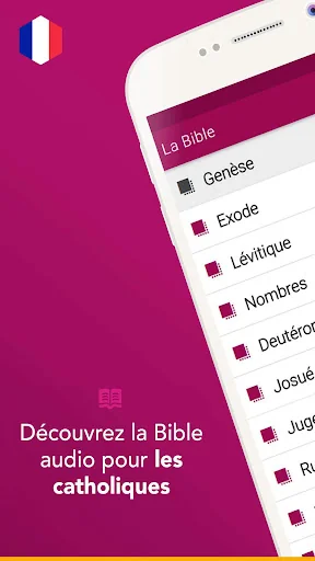 Bible Catholique Fillion
