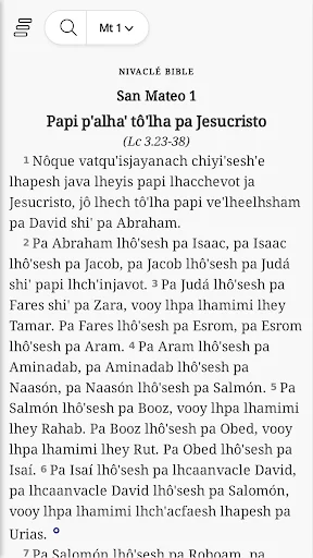 Nivacle Bible