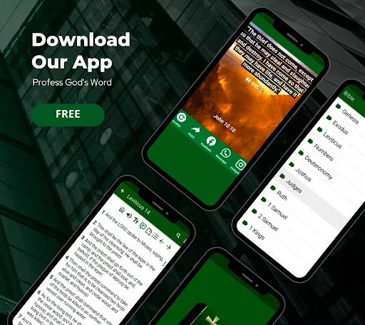 Bible Reader app with audio screenshot 4