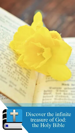Romanian Bible screenshot 3