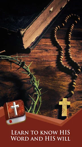 Romanian Bible offline audio screenshot 2
