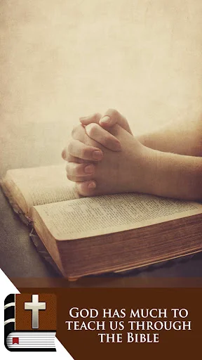 Bible in Dutch screenshot 4
