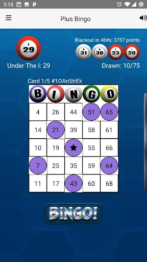 Bingo Plus