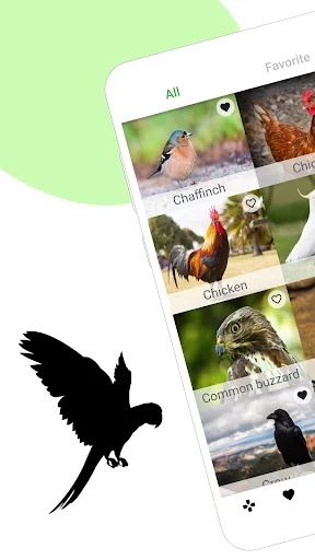 Bird sounds