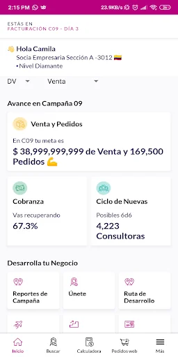 Gestiona tu Negocio 2.0