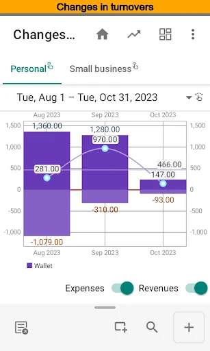 Budget Blitz Pro screenshot 4