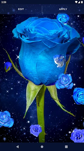 Blue Rose Live Wallpaper 3D screenshot 4