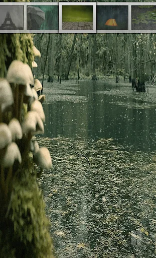 Rain sounds