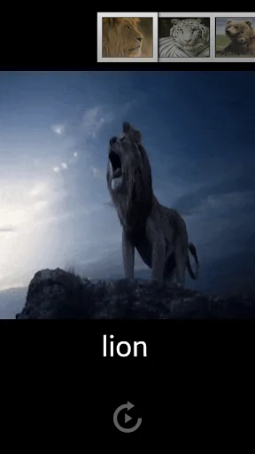 Animal Sounds