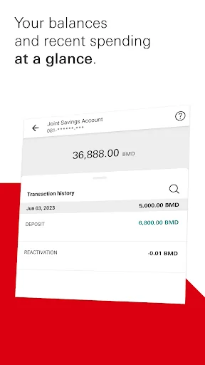 HSBC Bermuda screenshot 2