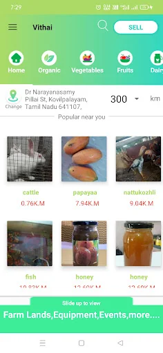 Vithai Buy & Sell Farm Produce