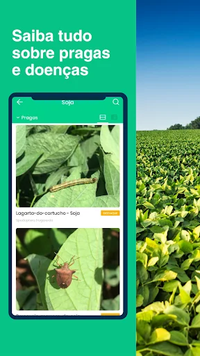 AgroApp: O Super App do Agro