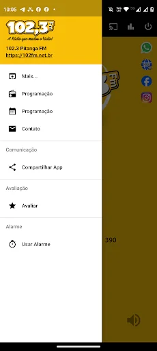 102.3 Pitanga FM