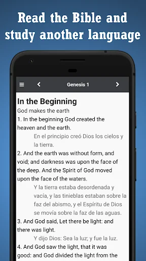 Bilingual Bible Now