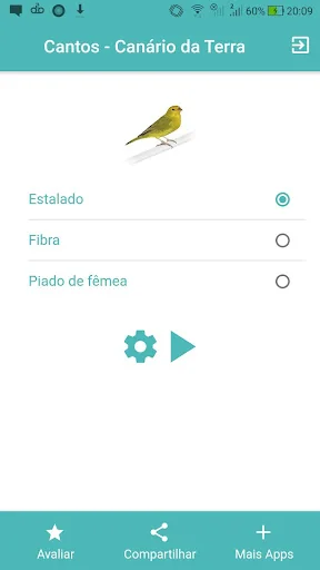 Cantos Canário da Terra