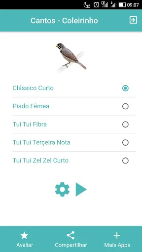 Cantos do Pássaro Coleirinho