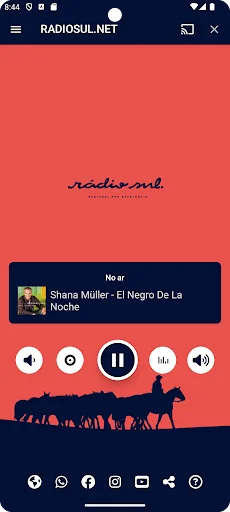 RADIOSUL.NET