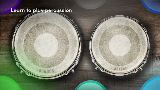 Congas & Bongos: percussions screenshot 2