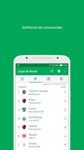 Copa do Brasil 2025 screenshot 4