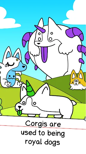 Corgi Evolution: Shiba Dogs screenshot 1