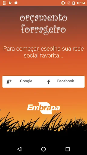 Orçamento Forrageiro