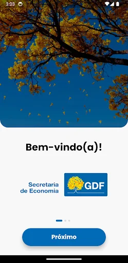 Economia DF