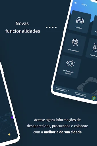 Sinesp Cidadão screenshot 2