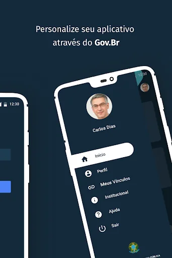 Sinesp Cidadão screenshot 4