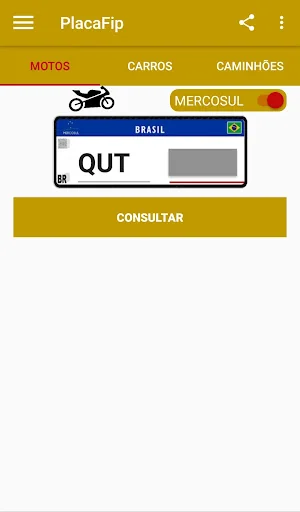 PlacaFip - Consulta placa screenshot 1