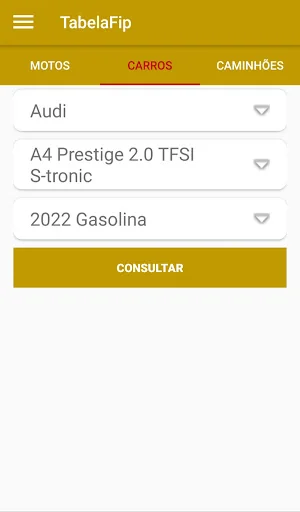 PlacaFip - Consulta placa screenshot 3