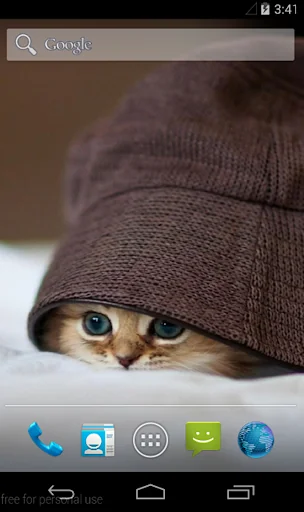 Cute Cat Wallpaper screenshot 3