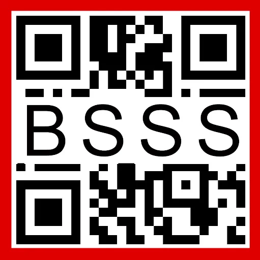 BSSS Verification