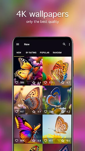 Butterfly Wallpapers 4K screenshot 2
